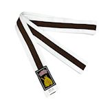 Ronin Budo Belt Junior Striped - white/brown