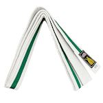 Ronin Budo Belt Youth Striped - white/green